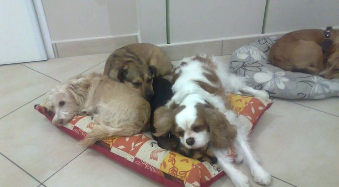 Agnese, Lully, Linda e Hope