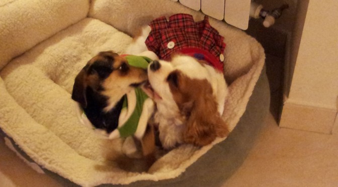 Hope e Linda si baciano a Natale 2011