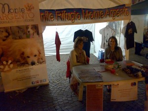 notte bianca
