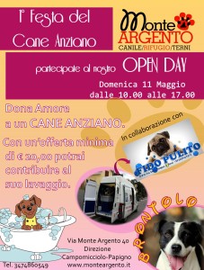 Festa cane anziano lavaggio
