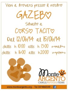 locandina gazebo