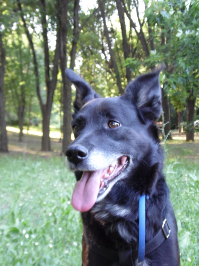 SAM_1432