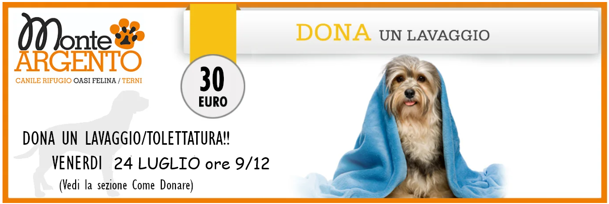 Rinfreschiamo i nostri amici pelosoni in questa estate torrida!!